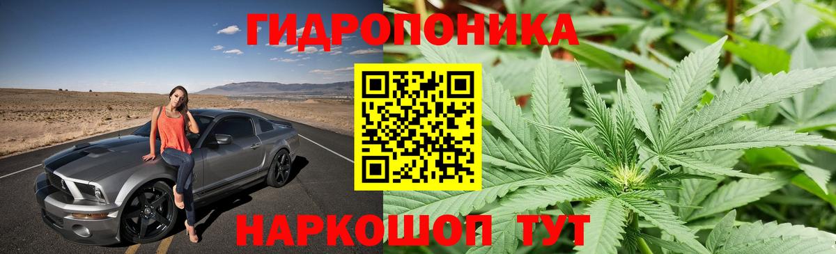Конопля Amnesia  Шишки марихуана сатива  Вход с VPN  Марихуана гибрид  Зеленодольск 